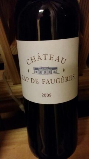 Chateau Cap De Faugeres 2009 750 ml