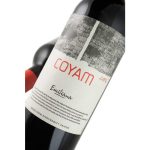 Vinedos Emiliana Coyam Colchagua Valley 2006 Chile