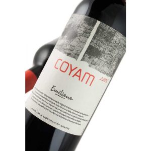 Vinedos Emiliana Coyam Colchagua Valley 2006 Chile