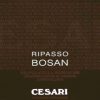 Gerardo Cesari Bosan 2013 750 ml (C)