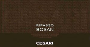 Gerardo Cesari Bosan 2013 750 ml (C)